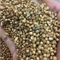 400gr HẠT NGÒ KHÔ/ HẠT MÙI KHÔ - dùng nấu phở, nấu sâm