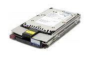 411089-B22 HP 300-GB U320 SCSI HP 15K HDD