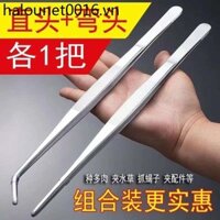 430 Nhíp Inox Khuỷu Tay Tròn Mở Rộng Thực Vật Thủy Sinh Dressing Niezi Làm Vườn Trồng Dụng Cụ mọng Nước Sửa Chữa Kẹp