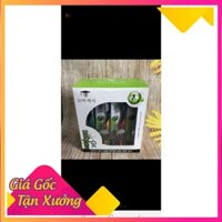 (4969) Hộp 30 cái Bàn Chải Đánh Răng Than Tre Hoạt Tính Bossi Hàn Quốc giá tốt .