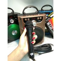 4E[P2004] Mic karaoke Arirang có dây gắn loa kéo, loa bluetooth, amply, âm thanh tốt ER01