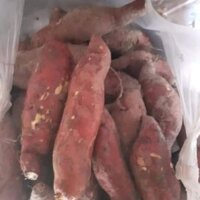 4kg khoai lang Mật Tà Nung- Đà Lạt củ vừa,ngon