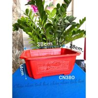 (5 Cái) Chậu Nhựa Chữ Nhật Bonsai 380 Trồng Cây Màu Đỏ 38x28