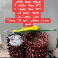 5 chậu sen f21 - 5 chậu sen f25 - 10 móc 70cm - 10 lưới - tặng 10 túi phân