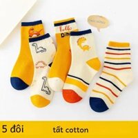 5 đôi vớ trẻ em cotton nguyên chất hoạt hình khủng long ống vừa vớ bé trai vớ Vàng thoáng khí