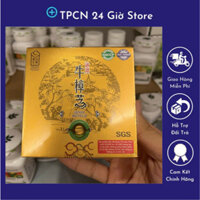 5 Hộp Ngưu Chương Chi - Quốc Bảo Đài Loan
