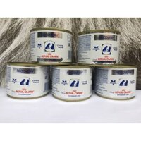 5 hộp Pate phục hồi sức khỏe cho chó và mèo Recovery Royal Canin (195g/hộp)
