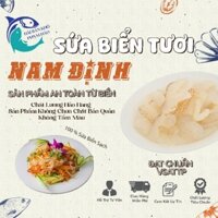 5 HỘP SỨA Biển một hộp 600g Đặc Sản Nam Định