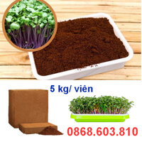 5 kg Viên nén xơ dừa đã qua xử lý trồng rau tại nhà tiết kiệm hơn so với viên nhỏ
