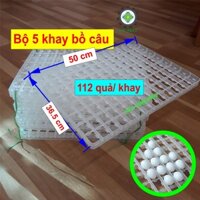 5 Khay ấp trứng bồ câu làm máy đảo nghiêng bằng nhựa giá rẻ 5KCBC