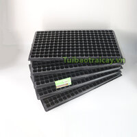 5 khay gieo hạt 200 lỗ, nhựa tốt hàng loại 1 - CH11