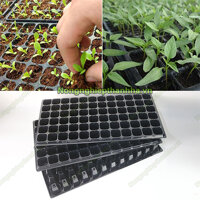 5 Khay nhựa đen gieo hạt giống 72 lỗ