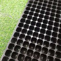 5 Khay ươm hạt 200 lỗ loại 2 ươm ớt cà chua bấp cải rau