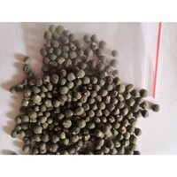 5 lạng hạt giống đậu bắp xanh