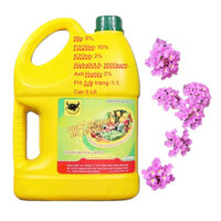 (5 lít) Phân Sinh Học POLY HUMATE ĐA NĂNG ,Ra Rễ Mạnh Phục Hồi Nhanh,Bật Chồi Khỏe,Tạo Nụ Nhiều Hoa,Đầu Trâu Bình Điền