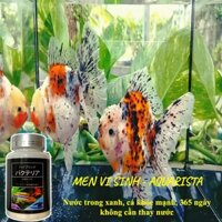 5 lọ Vi sinh dạng viên nén làm trong nước cho bể cá cảnh Aquarista Nhật Bản lọ 100 viên.