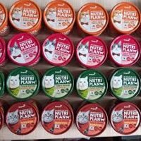 5 lon pate mèo nutri plan 160gr