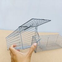 5 Lồng Bẫy Sóc bông, sóc đất cải tiến