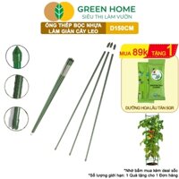 5 Ống Thép Bọc Nhựa, Greenhome, Daim, Nhật Bản, D150cm, Làm Khung Hoa, Giàn Cây Leo, Độ Bền 5 Năm