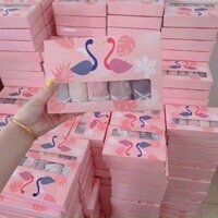 5 Quần lót nữ Thiên Nga Hồng