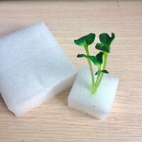 5 TẤM MÚT XỐP ƯƠM HẠT GIỐNG