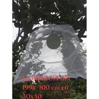 50 Bọc bưởi lưới mùng có khung cỡ 30x40