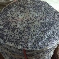 50 CÁI BÁNH TRÁNG MÈ ĐEN NƯỚC CỐT DỪA TÂY NINH, THƠM NGON HẢO HẠNG