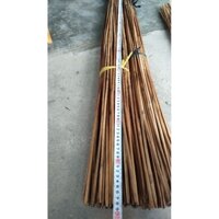 50 CẦN CÂU CẮM CÁ CHƯA TÓM LƯỠI(CAO 1M2)