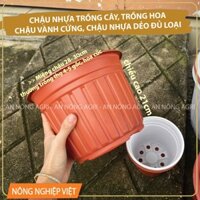 50 chậu nhựa có vành TTK 300 nâu đỏ, trắng, chậu nhựa trồng hoa tết, chậu trồng vạn thọ