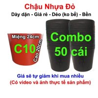 50 Chậu nhựa đỏ C10 trồng hoa Tết, trồng rau, trồng hoa vạn thọ tết (24x20cm)