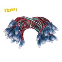 50 Chiếc WS2811 LED Pixel Dây Đèn Quảng Cáo Đổ Chống Thấm Nước Full Màu Đục Lỗ Ánh Sáng 12 Mm DC 5V
