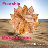 50 con Mực khô nhỏ loại 120 con 1 cân(Kg) (TICOFOODS) - Sỉ lẻ toàn quốc