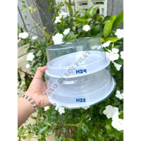 50 hộp nhựa đế trắng H24 nắp thấp, KÍCH THƯỚC 14.5 x 14.5 x 5 cm
