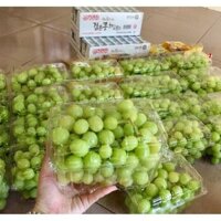 50 Hộp nhựa đựng được 1kg trái cây P1000B hộp trong suốt nho cherry