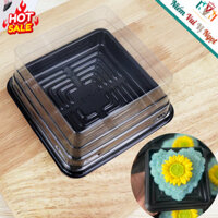 50 Hộp nhựa vuông đựng Bánh Trung Thu, Rau Câu, Xôi Chè XY12-12 | JLH12-12 (250-300gr)