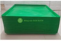 50 Khay Hứng Phân Chim 50x50cm – Máng Đựng Phân Gà, Khay Nuôi Chim Bồ Câu, Giữ Chuồng Trại Sạch Sẽ
