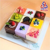 50 Ly mousse vuông LC-5550 - Ly đựng tiramisu - Panna cotta - yogurt trái cây -bánh lạnh