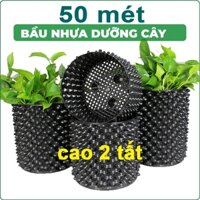 50 MÉT CAO 20CM Bầu ươm cây, chậu trồng cây thông minh V6 dày 6mm, tặng ốc vít-77906