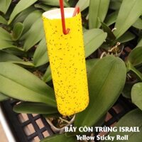 50 Miếng Dính Vàng Côn Trùng nhập khẩu Israel (18x22cm,2 mặt keo) là keo dính sinh học dùng bẫy Ruồi các côn trùng khác…