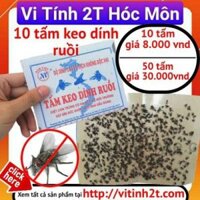 50 miếng keo dính ruồi - dán ruồi - bẫy ruồi