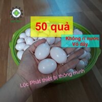 50 Trứng bồ câu giả bằng nhựa, trứng nước mới, bền, không rỉ nước, chim bồ câu Pháp thích ấp, shop Lộc Phát 50TN-H