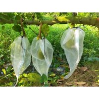 50 TÚI BAO MÍT 50x70 LƯỚI CƯỚC