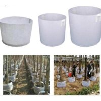 50 Túi Vải Trồng Cây 2 Quai Xách Kích Thước 20X20