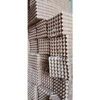 50 vỉ giấy nuôi dế,vỉ giấy nuôi dán dubai,vỉ giấy nuôi bọ quy,vỉ giấy đựng trứng gà..vv