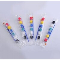 50 vỉ màu tô tượng arylic 6 màu 3ml kèm cọ