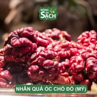 500 G Nhân Hạt Óc Chó Đỏ Mỹ Nhập Khẩu 100%