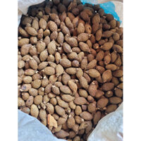 500 gram HẠT ĐƯỜI ƯƠI BAY ( hàng chuẩn L1)