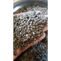 500 gram hạt giống cây chanh dây quả vàng. [ RẺ HƠN H0ÀN TIỀN ]