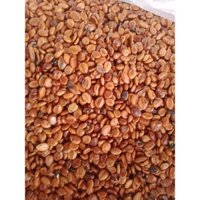 500 gram Hạt Giống CÂY Muồng Hoàng Yến. [ FREEshIP EXTRA + ] [ GHN)