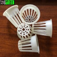 500 rọ nhựa trồng rau thủy canh phi 65 màu đen hoặc trắng
